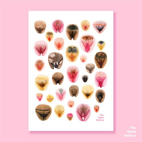 beautiful vulva pics|The Vulva Gallery 